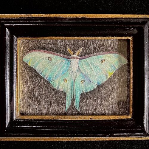 曽根絵里子「つきあかり」